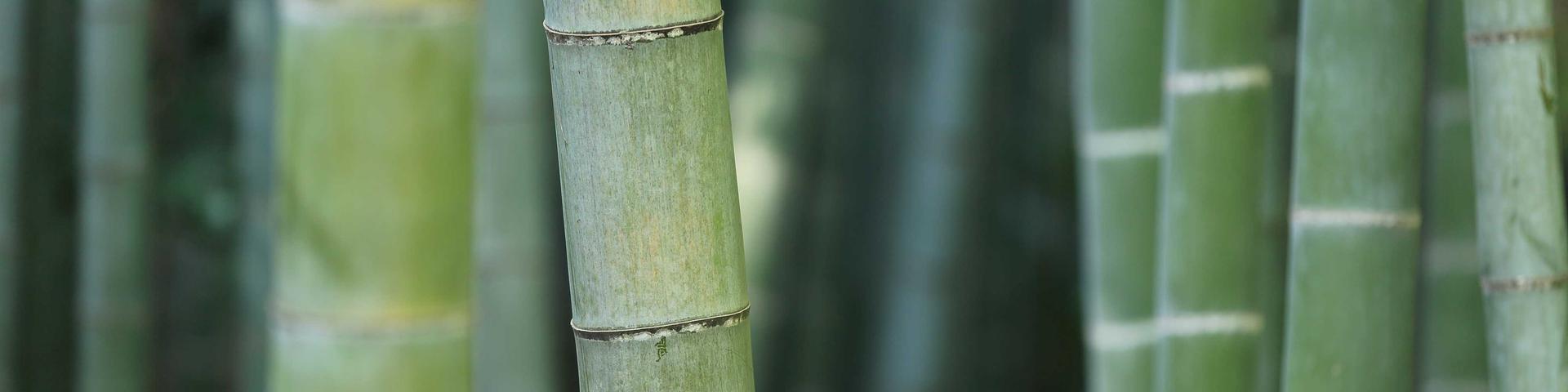 banner3